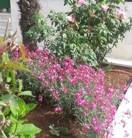 Apartman Soric Rovinj