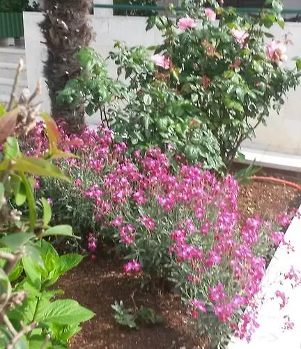 Appartement Soric Rovinj